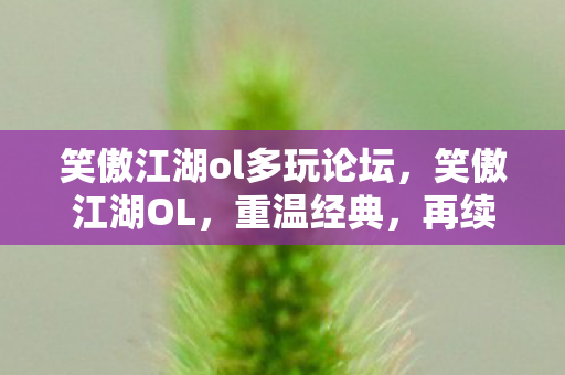 笑傲江湖ol多玩论坛，笑傲江湖OL，重温经典，再续江湖情缘