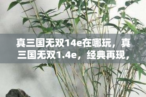 真三国无双14e在哪玩，真三国无双1.4e，经典再现，重温那段热血沸腾的战场岁月