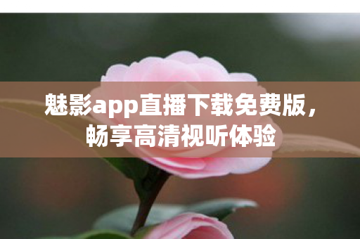 魅影app直播下载免费版，畅享高清视听体验