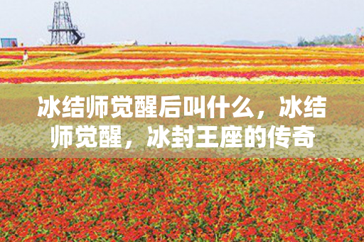 冰结师觉醒后叫什么，冰结师觉醒，冰封王座的传奇