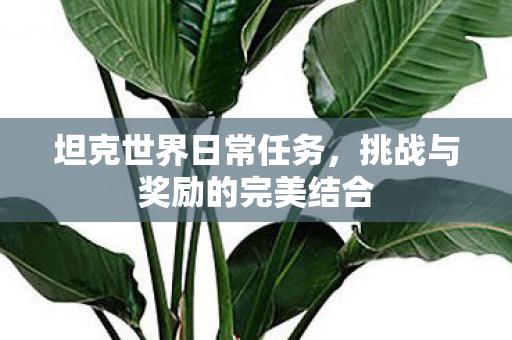 坦克世界日常任务，挑战与奖励的完美结合