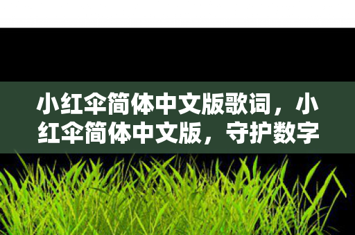 小红伞简体中文版歌词，小红伞简体中文版，守护数字生活的安全卫士