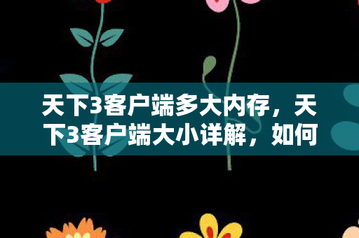 天下3客户端多大内存，天下3客户端大小详解，如何优化与高效管理