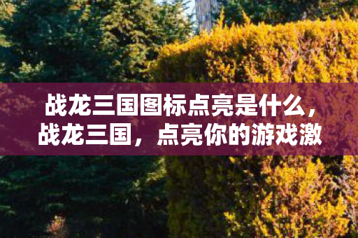 战龙三国图标点亮是什么，战龙三国，点亮你的游戏激情