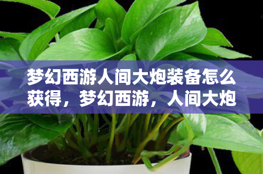 梦幻西游人间大炮装备怎么获得，梦幻西游，人间大炮装备全解析