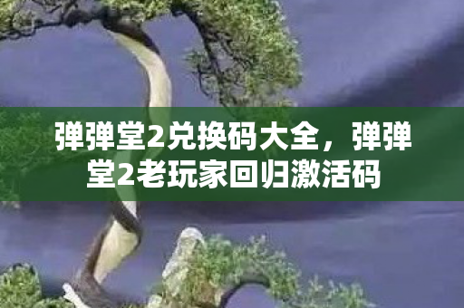 弹弹堂2兑换码大全，弹弹堂2老玩家回归激活码