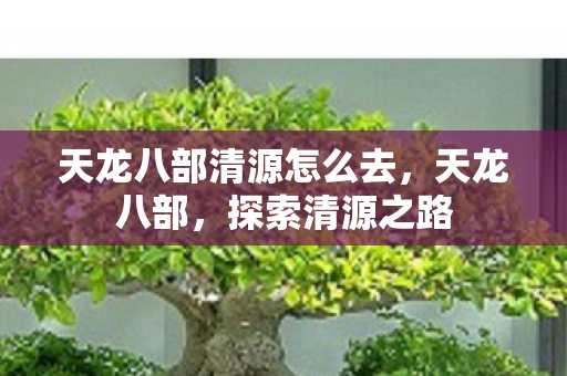 天龙八部清源怎么去，天龙八部，探索清源之路