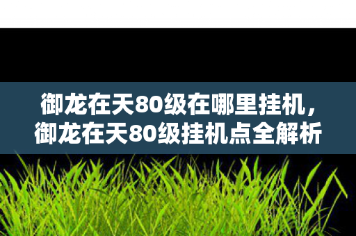 御龙在天80级在哪里挂机，御龙在天80级挂机点全解析
