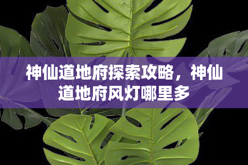 神仙道地府探索攻略，神仙道地府风灯哪里多