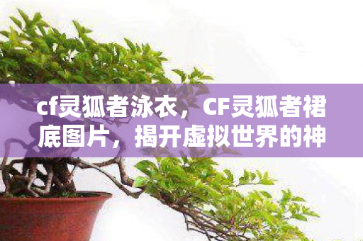 cf灵狐者泳衣，CF灵狐者裙底图片，揭开虚拟世界的神秘面纱