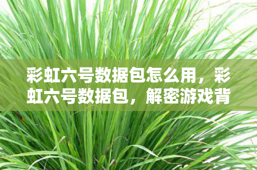 彩虹六号数据包怎么用，彩虹六号数据包，解密游戏背后的数据传输与安全性