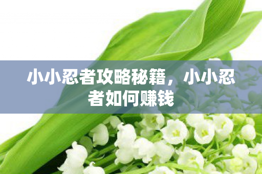 小小忍者攻略秘籍，小小忍者如何赚钱