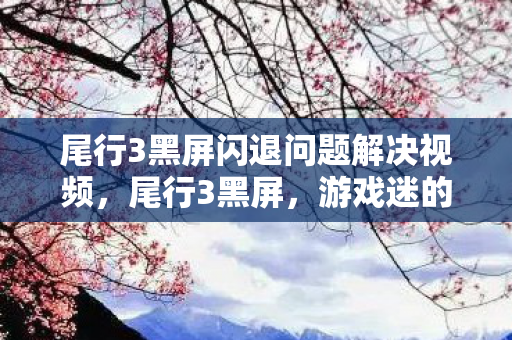尾行3黑屏闪退问题解决视频，尾行3黑屏，游戏迷的困扰与解决之道