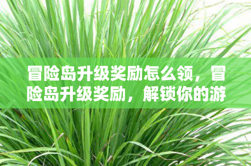 冒险岛升级奖励怎么领，冒险岛升级奖励，解锁你的游戏之旅