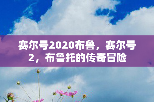 赛尔号2020布鲁，赛尔号2，布鲁托的传奇冒险