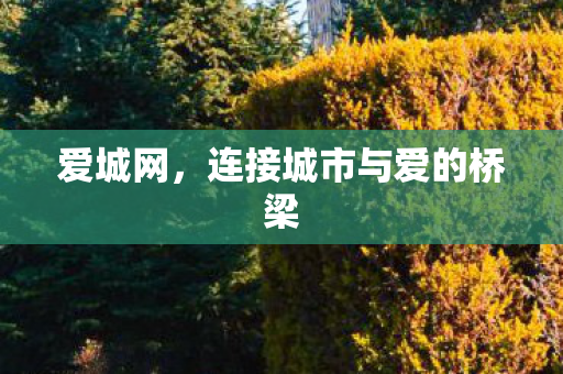 爱城网，连接城市与爱的桥梁
