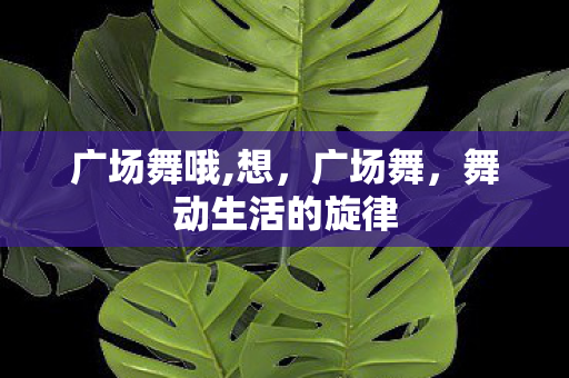 广场舞哦,想，广场舞，舞动生活的旋律
