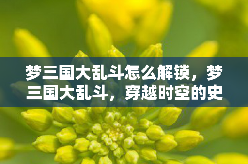 梦三国大乱斗怎么解锁，梦三国大乱斗，穿越时空的史诗对决