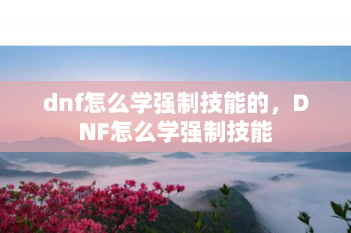 dnf怎么学强制技能的，DNF怎么学强制技能