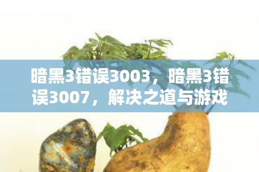 暗黑3错误3003，暗黑3错误3007，解决之道与游戏心得分享