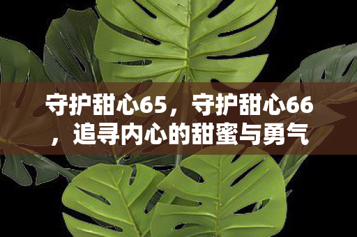 守护甜心65，守护甜心66，追寻内心的甜蜜与勇气