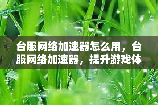 台服网络加速器怎么用，台服网络加速器，提升游戏体验的必备神器