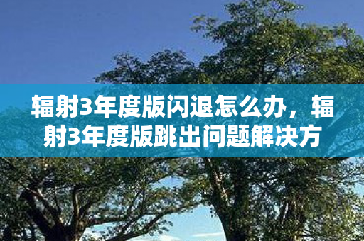 辐射3年度版闪退怎么办，辐射3年度版跳出问题解决方案