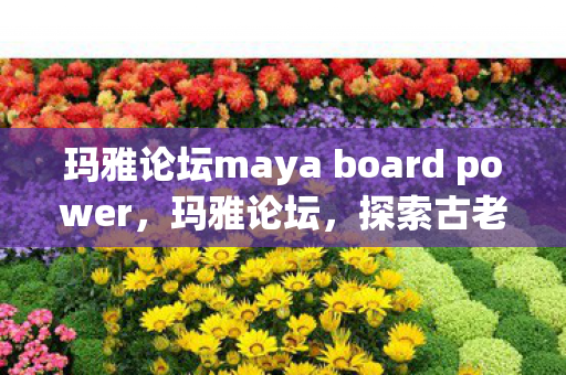 玛雅论坛maya board power，玛雅论坛，探索古老文明的智慧与未来