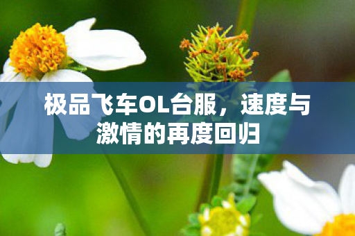 极品飞车OL台服，速度与激情的再度回归