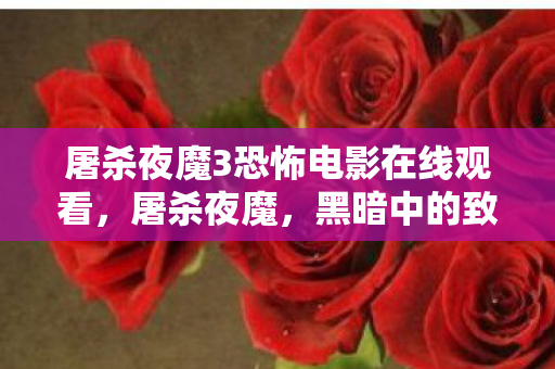 屠杀夜魔3恐怖电影在线观看，屠杀夜魔，黑暗中的致命威胁