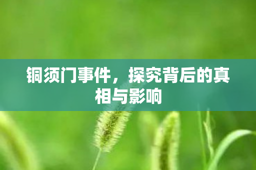 铜须门事件，探究背后的真相与影响