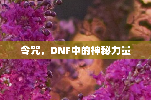 令咒，DNF中的神秘力量