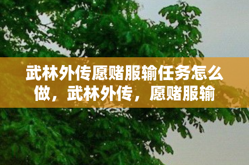 武林外传愿赌服输任务怎么做,武林外传,愿赌服输 武林外传愿赌服输任务怎么做,武林外传,愿赌服输