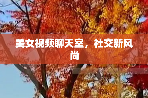 美女视频聊天室，社交新风尚