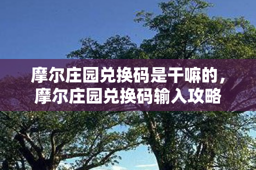 摩尔庄园兑换码是干嘛的，摩尔庄园兑换码输入攻略
