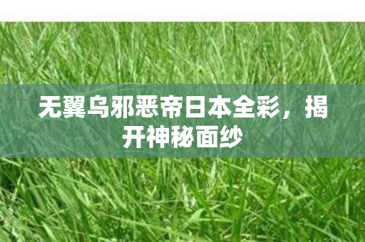 无翼乌邪恶帝日本全彩，揭开神秘面纱