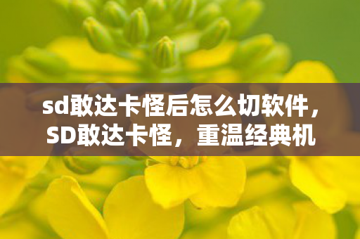 sd敢达卡怪后怎么切软件，SD敢达卡怪，重温经典机甲战斗的记忆