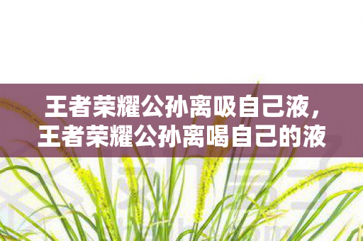 王者荣耀公孙离吸自己液，王者荣耀公孙离喝自己的液体？揭秘游戏中的神秘情节与角色设定