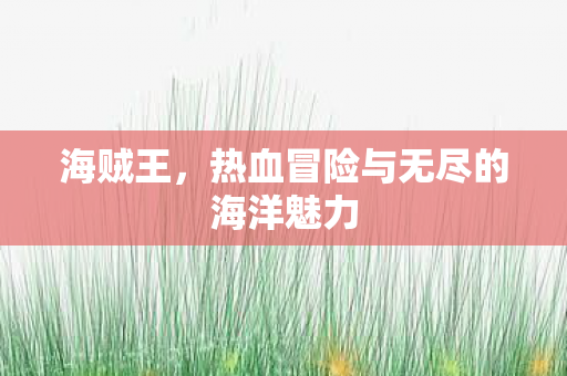 海贼王，热血冒险与无尽的海洋魅力