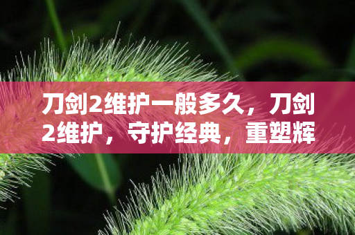 刀剑2维护一般多久，刀剑2维护，守护经典，重塑辉煌