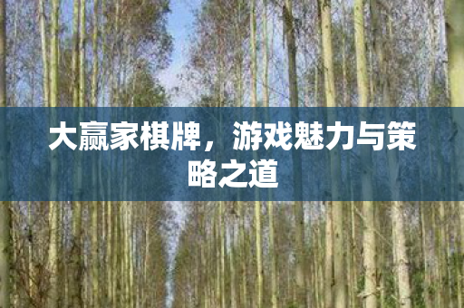 大赢家棋牌，游戏魅力与策略之道