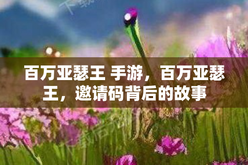 百万亚瑟王 手游，百万亚瑟王，邀请码背后的故事