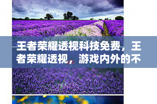王者荣耀透视科技免费，王者荣耀透视，游戏内外的不公平竞争与应对