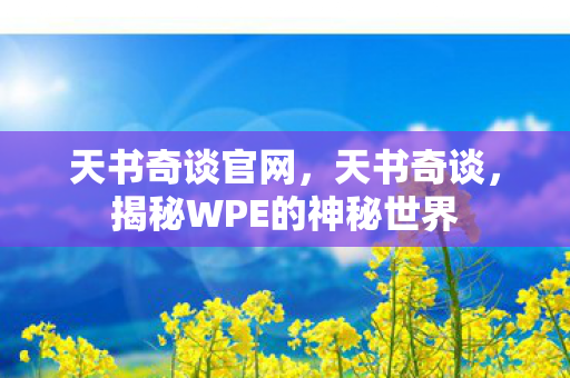 天书奇谈官网，天书奇谈，揭秘WPE的神秘世界