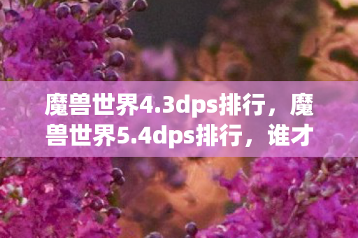 魔兽世界4.3dps排行，魔兽世界5.4dps排行，谁才是输出之王？