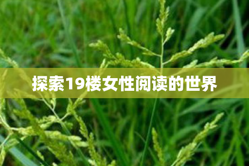 探索19楼女性阅读的世界