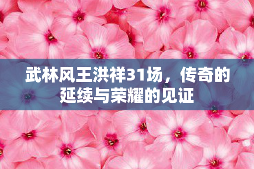 武林风王洪祥31场，传奇的延续与荣耀的见证