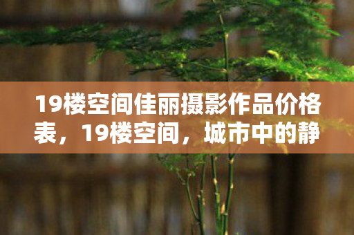 19楼空间佳丽摄影作品价格表，19楼空间，城市中的静谧绿洲