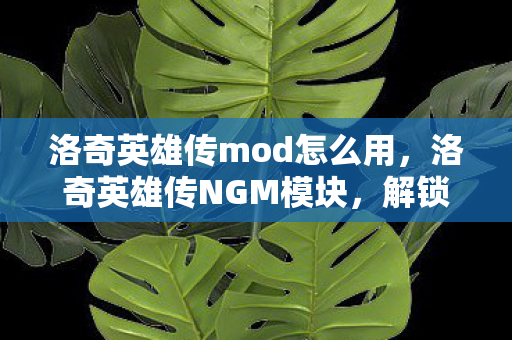洛奇英雄传mod怎么用，洛奇英雄传NGM模块，解锁游戏音效的奥秘
