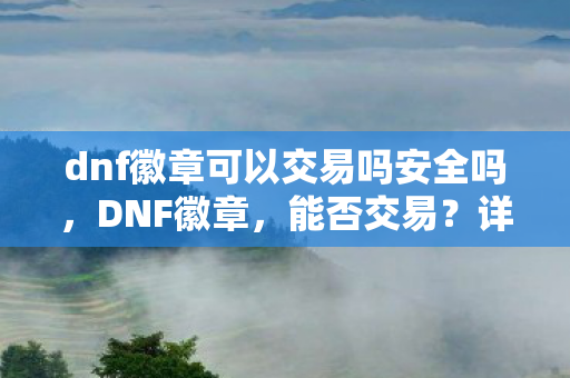 dnf徽章可以交易吗安全吗，DNF徽章，能否交易？详解与指南